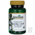 Swanson FS Buchu Leaf - 60 kaps.