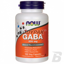 NOW Foods GABA 500mg - 100 kaps.