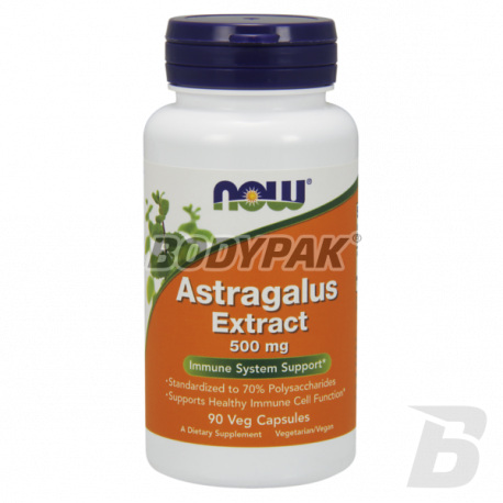 NOW Foods Astragalus Extract 500 mg - 90 kaps.