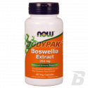 NOW Foods Boswelia Extract + Turmeric 60 kaps.