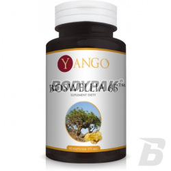 Yango Boswellia 65 - 60 kaps.