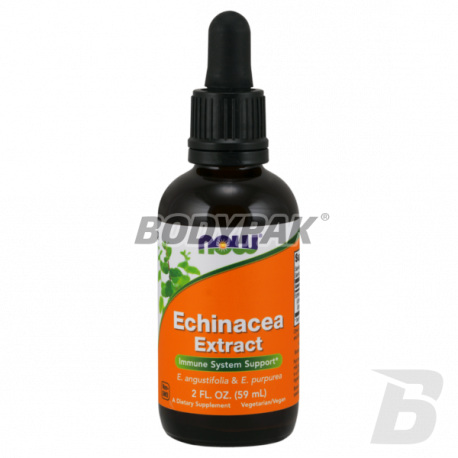 NOW Foods Echinacea Extract - 60ml