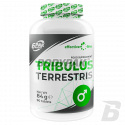 6PAK Nutrition Effective Line Tribulus Terrestris - 90 tabl.