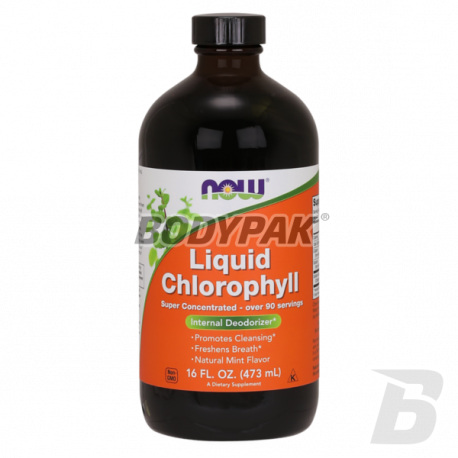 NOW Foods Chlorophyll Liquid - 473ml