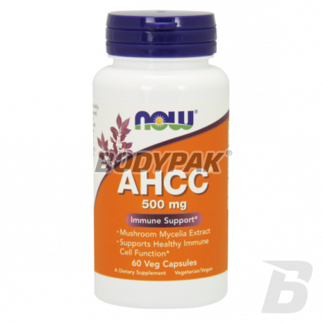 NOW Foods AHCC 500mg - 60 kaps.