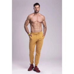 Trec Wear® Pants 044 Jogger Stripe Beige