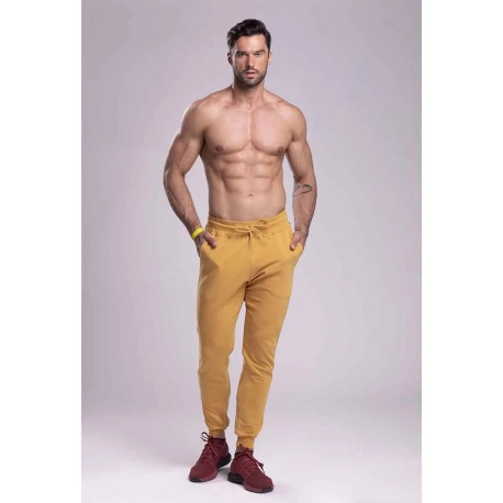 Trec Wear® Pants 044 Jogger Stripe Beige