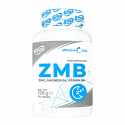 6PAK Nutrition Effective Line ZMB - 90 tabl.