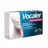 Aflofarm Vocaler czarna porzecz 12 tabl.