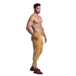 Trec Wear® Pants 044 Jogger Stripe Beige