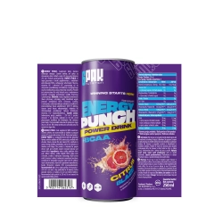 6PAK Nutrition Energy Punch Power Drink - 250ml