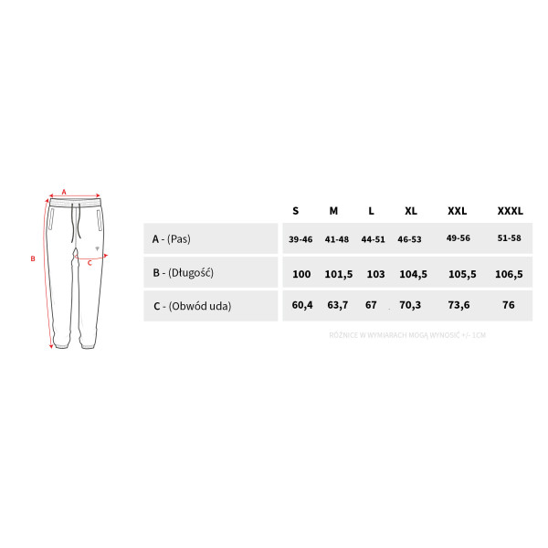 Granatowe spodnie dresowe męskie TW BASIC PANTS 181 M NAVY