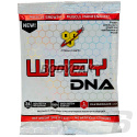BSN Whey DNA - 34g