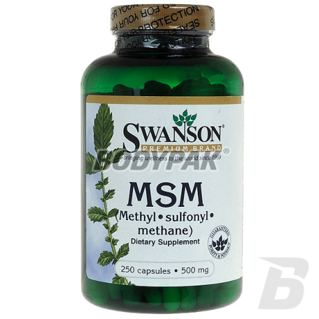 Swanson MSM 500mg - 250 kaps.