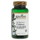 Swanson Full Spectrum Coleus Forskohlii 400mg - 60 kaps.