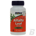 NOW Foods Alfalfa Herb - 100 kaps.