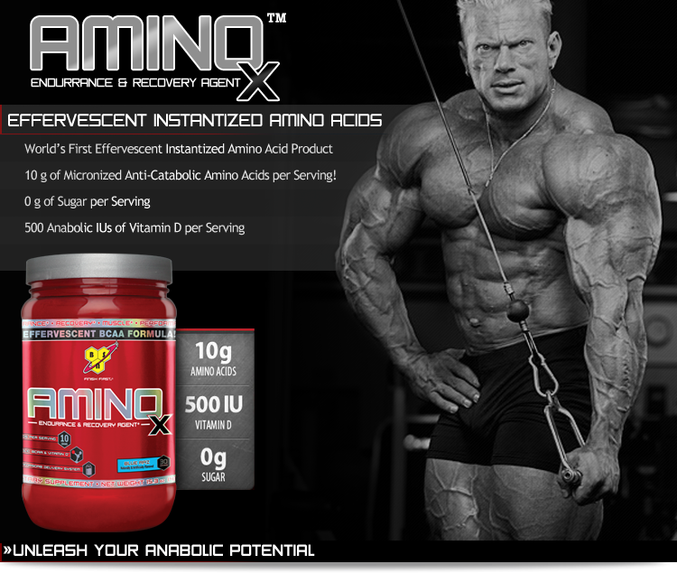 BSN Amino-X - 435g