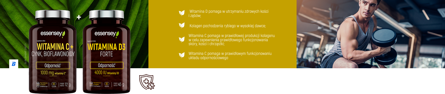 sekcja_1.png