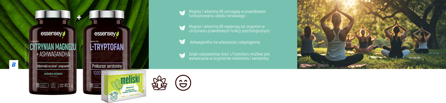 sekcja_1.png