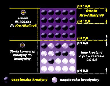 Olimp Kre-Alkalyn 2500 Mega Caps - 120 kaps.