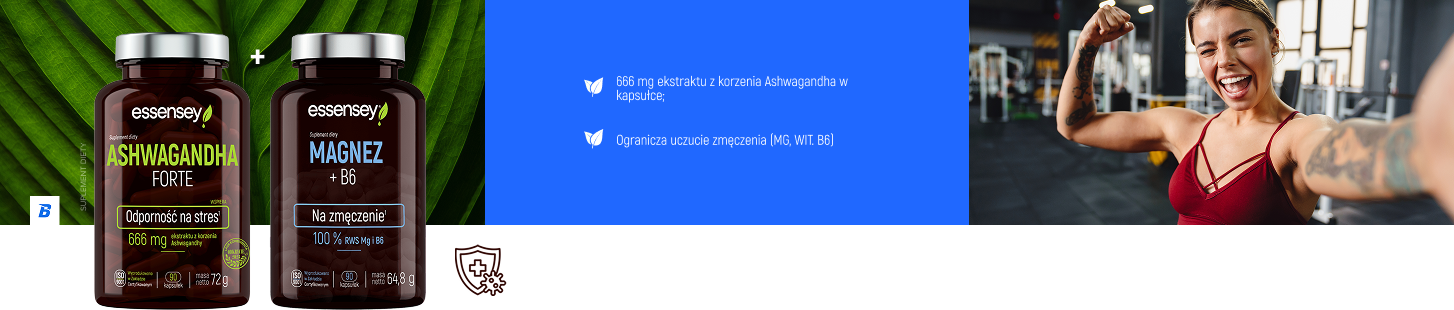 sekcja_1.png