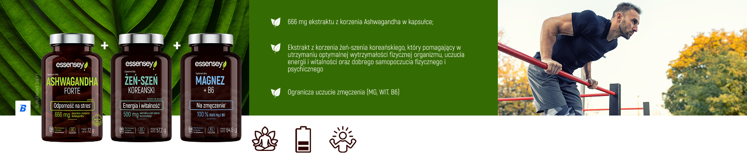sekcja_1.png