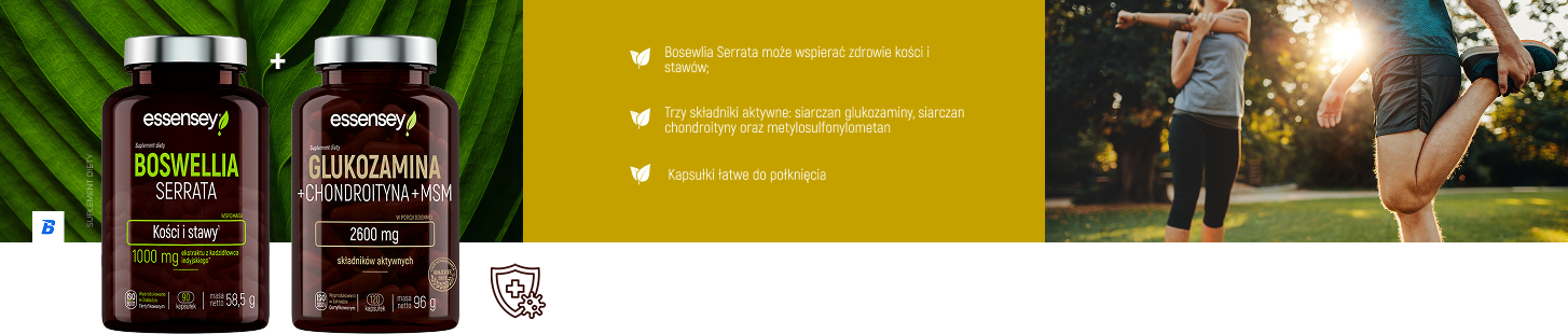 sekcja_1.png