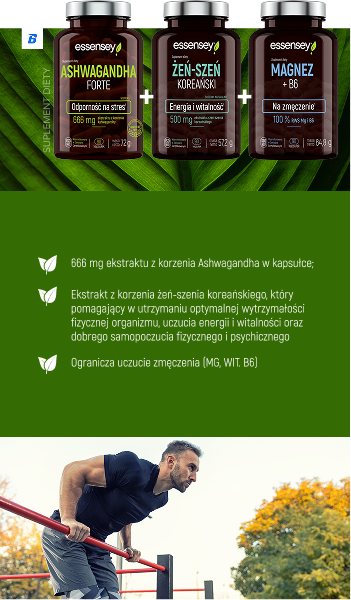 sekcja_1_mobile.png