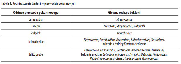 Probiotyki, prebiotyki, synbiotyki - czy warto? - część 1