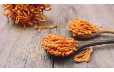 Kordyceps chiński - właściwości, działanie, jak stosować
