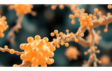 SCFA –  krótkołańcuchowe kwasy tłuszczowe - czym są i dlaczego są tak ważne?