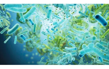 Jak odbudować mikrobiom jelitowy? Najskuteczniejsze metody