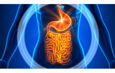 Probiotykoterapia – panaceum na szereg współczesnych dolegliwości?