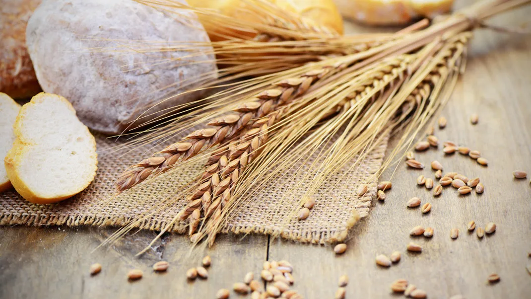 Czym jest gluten, gdzie występuje oraz jak objawia się alergia na gluten?