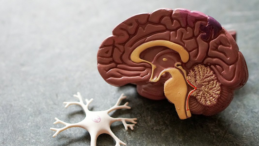 Jakie suplementy wspomagają pracę mózgu?