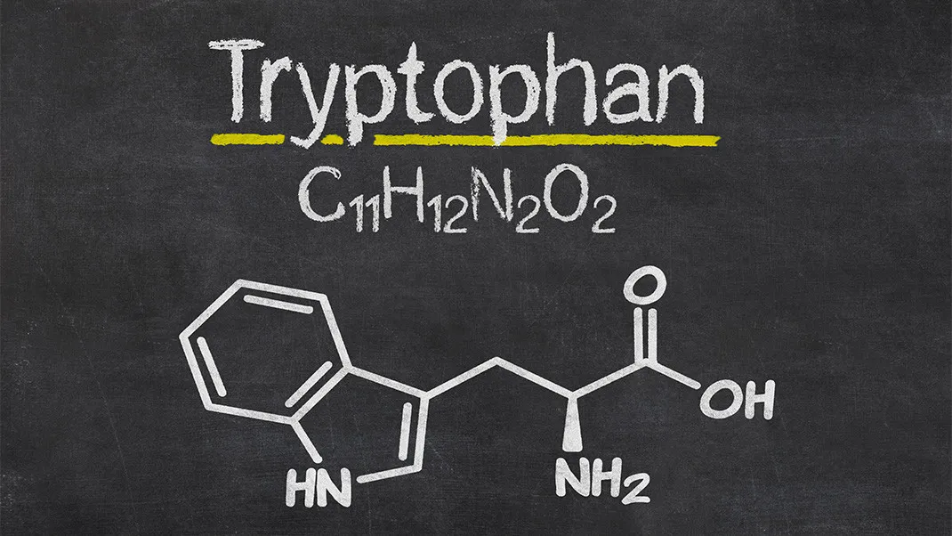 L-tryptofan - działanie, źródła, przeciwwskazania, kiedy brać