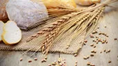 Czym jest gluten, gdzie występuje oraz jak objawia się alergia na gluten?
