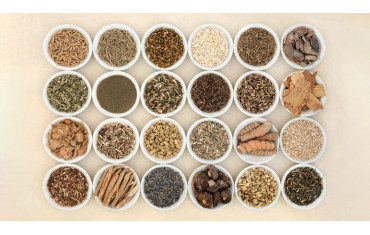 Czym są adaptogeny i co warto o nich wiedzieć?