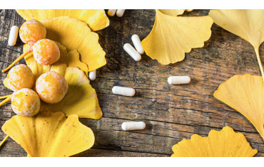 Ginkgo biloba – właściwości, działanie, sposób użycia, przeciwwskazania do stosowania