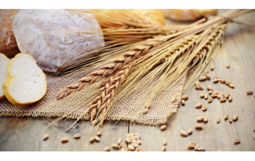 Czym jest gluten, gdzie występuje oraz jak objawia się alergia na gluten?