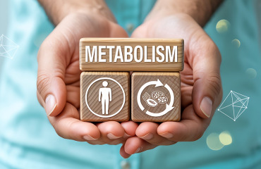 Jak działa metabolizm? Procesy anaboliczne i kataboliczne