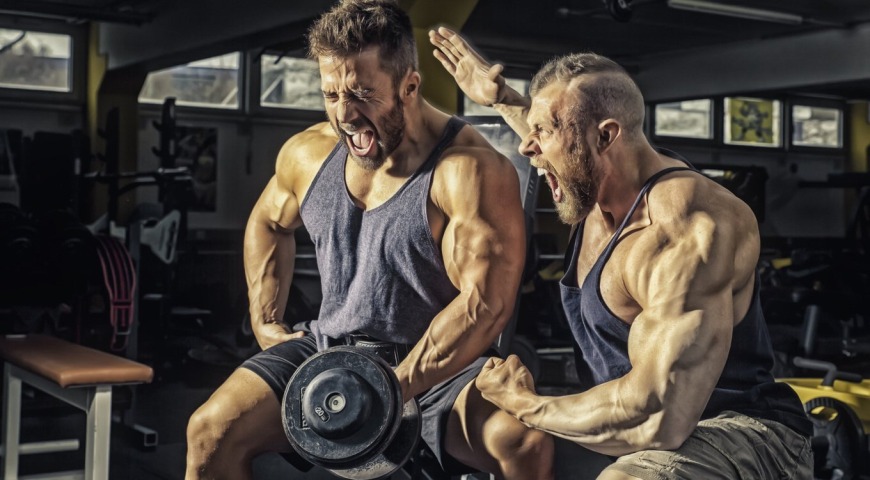 Jak rosną mięśnie