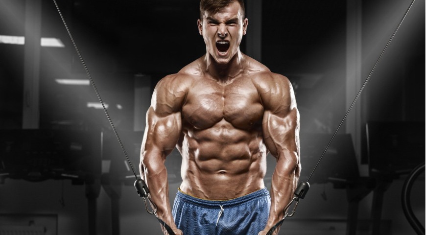 Szlak mTOR dla laików