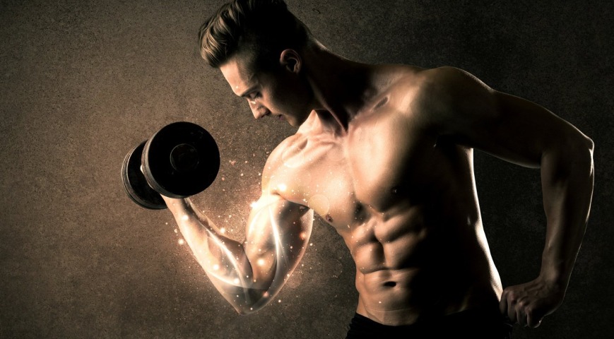 Z czego zbudowane są Twoje mięśnie