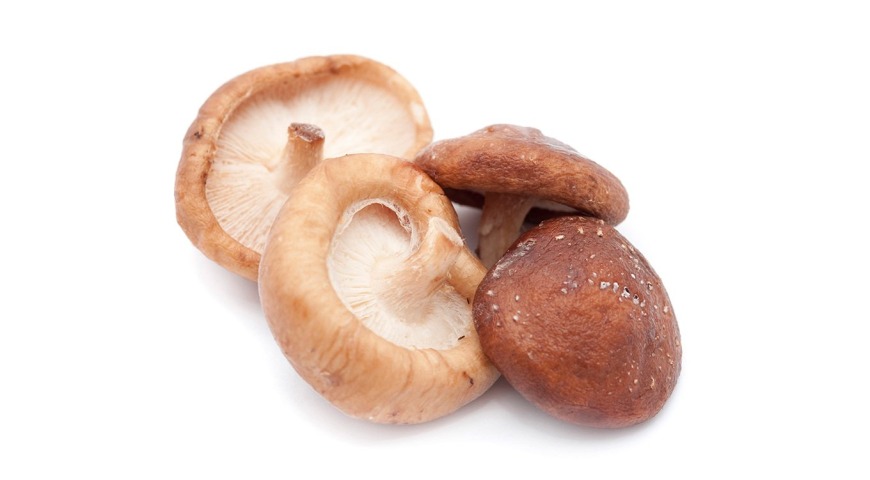 Grzyby witalne - rodzaje suplementacji grzybami