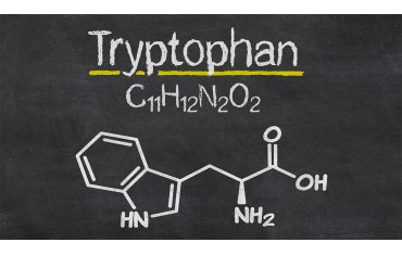 L-tryptofan - działanie, źródła, przeciwwskazania, kiedy brać