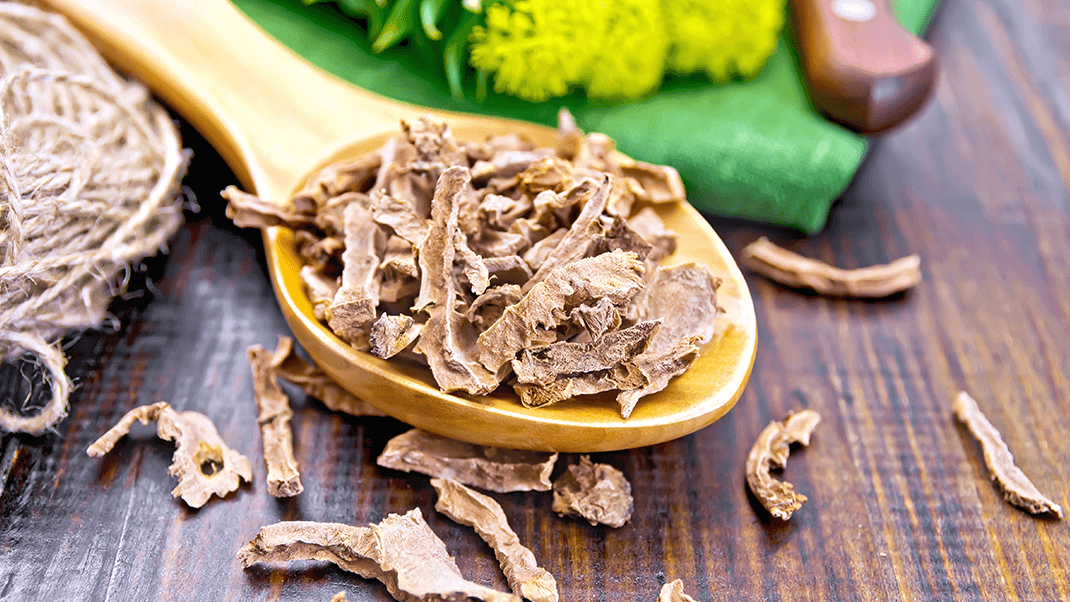 Różeniec górski (Rhodiola rosea) - właściwości i działanie