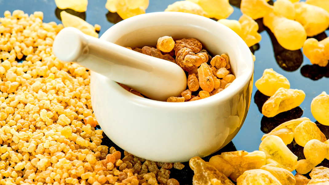 Boswellia serrata (kadzidłowiec indyjski) - właściwości, działanie, korzyści ze stosowania