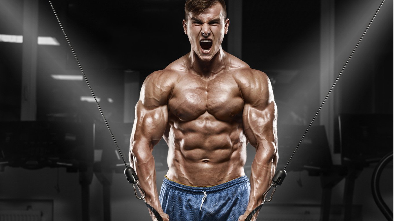 Szlak mTOR dla laików