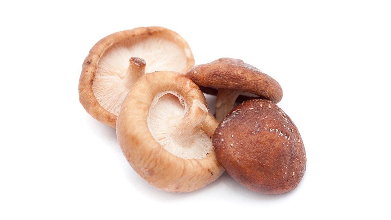 Grzyby witalne - rodzaje suplementacji grzybami